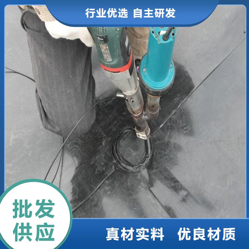 土工膜双向塑料土工格栅源厂供货
