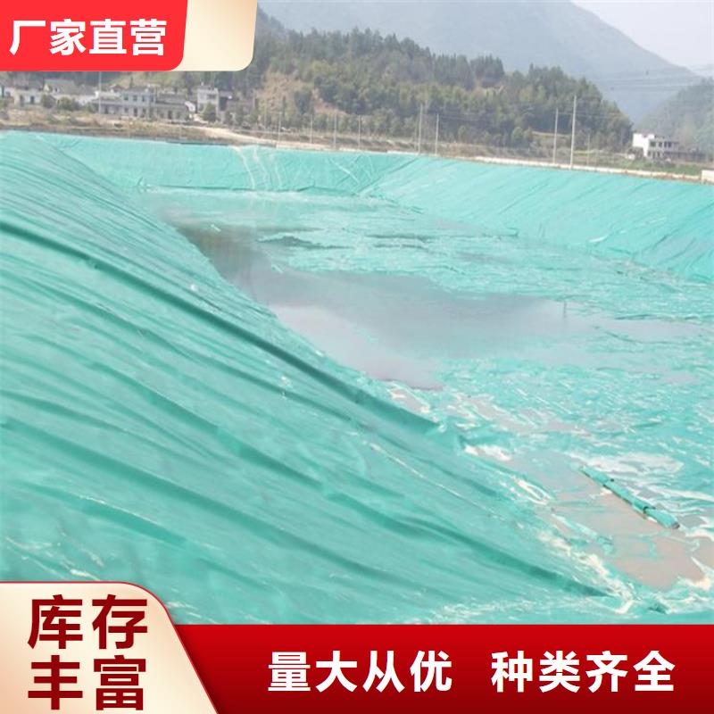 土工膜双向塑料土工格栅源厂供货