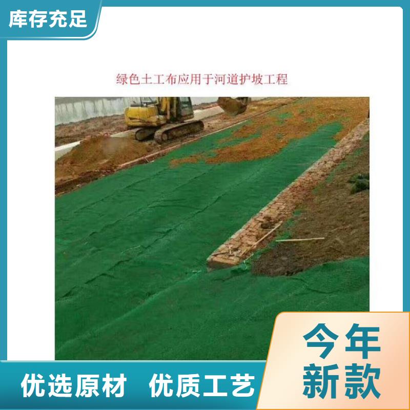 土工布钢塑土工格栅市场报价