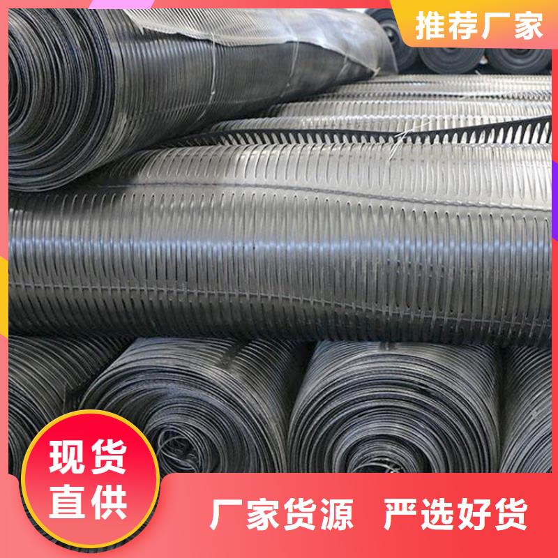 土工格栅网格布工厂直营