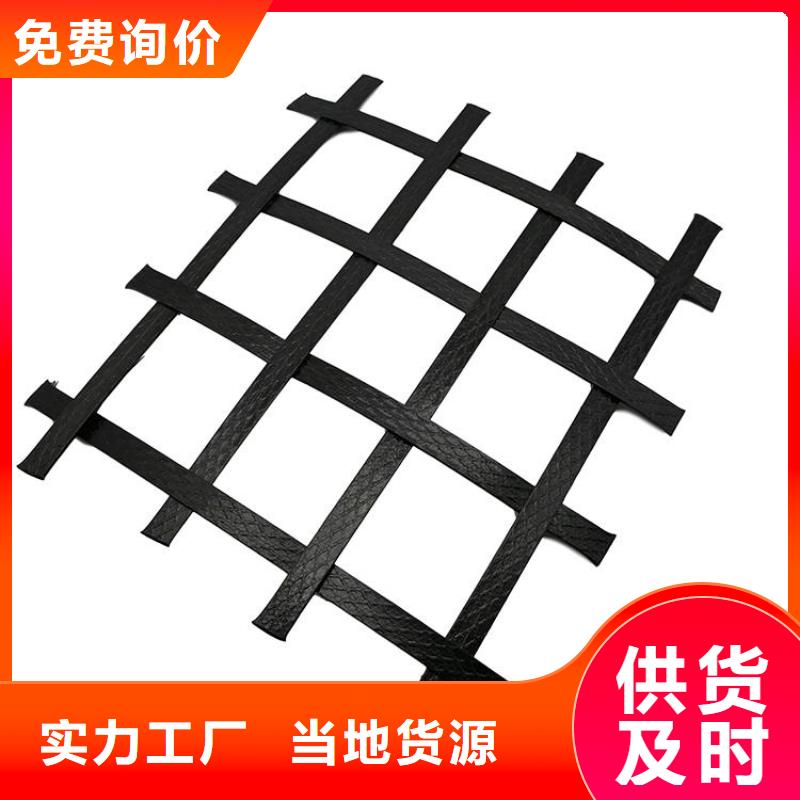 土工格栅网格布工厂直营
