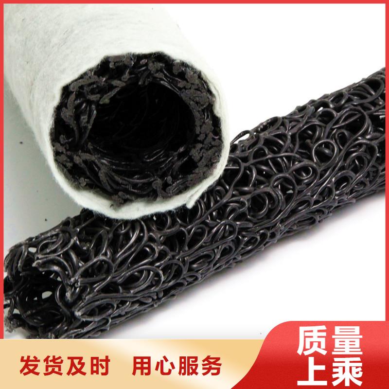 塑料盲沟涤纶格栅经验丰富质量放心