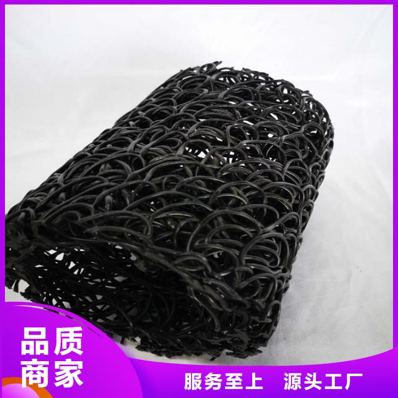 塑料盲沟涤纶格栅经验丰富质量放心