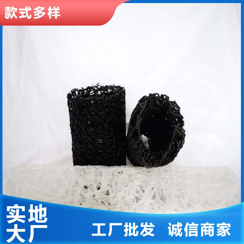 塑料盲沟涤纶格栅经验丰富质量放心