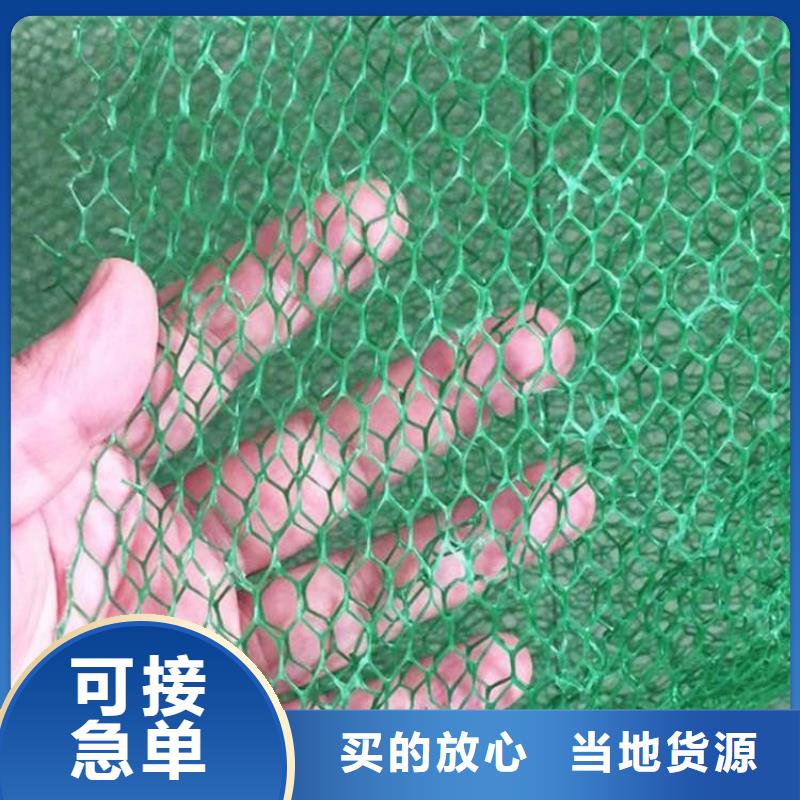  三维植被网可放心采购