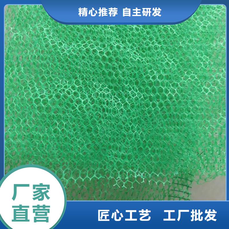 三维植被网植草格来电咨询