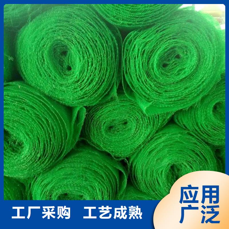 三维植被网土工格栅厂家供应