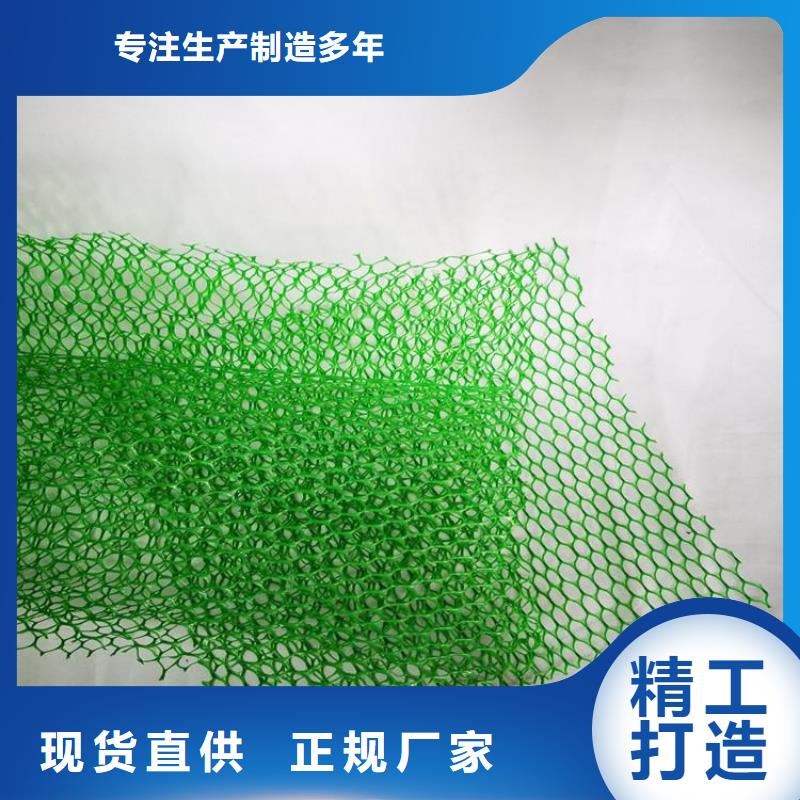三维植被网土工格栅产品优势特点