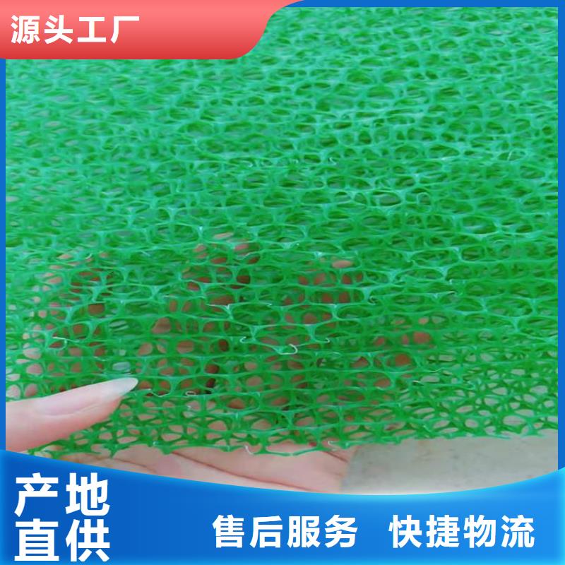 三维植被网-玻纤格栅物美价优