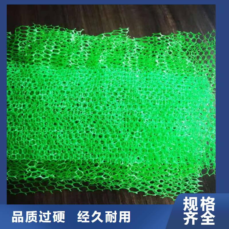 三维植被网土工格栅产品优势特点