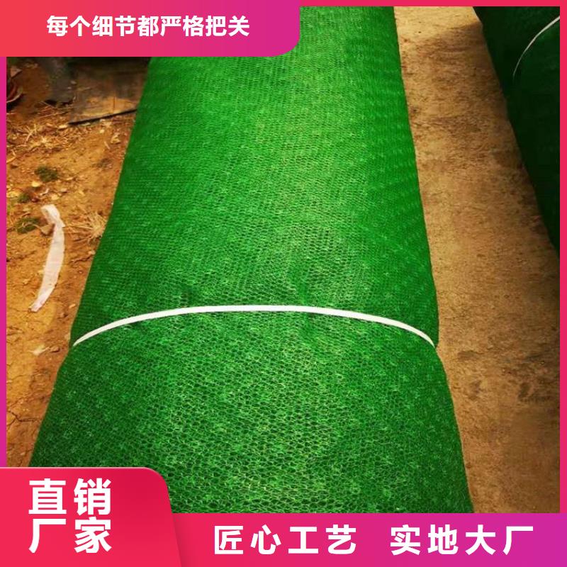 三维植被网土工膜贴心服务