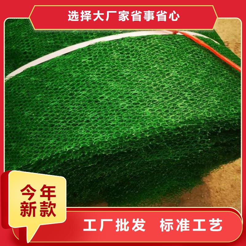 三维植被网螺旋管现货快速采购