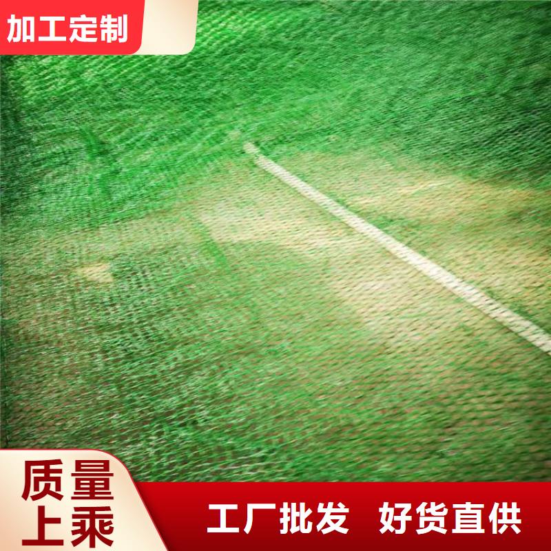 三维植被网【土工布】颜色尺寸款式定制