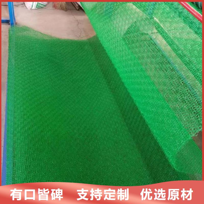 三维植被网_土工格栅生产加工