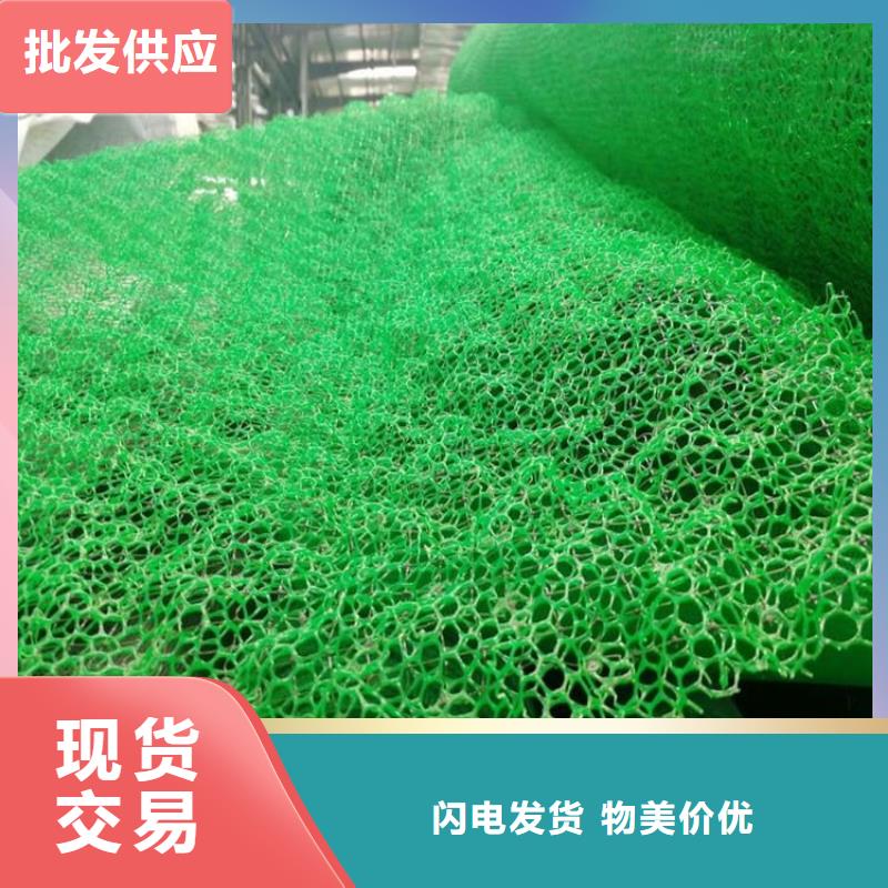 【三维植被网】双向土工格栅源头厂源头货