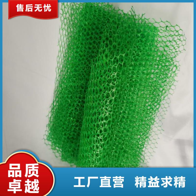 三维植被网_土工格栅生产加工