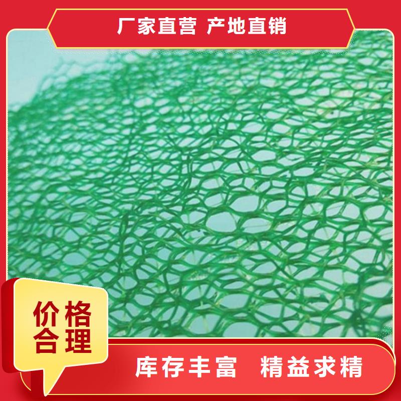 三维植被网-土工膜实力厂家直销