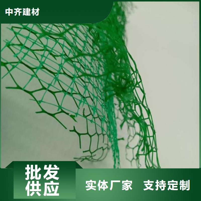 三维植被网螺旋管现货快速采购