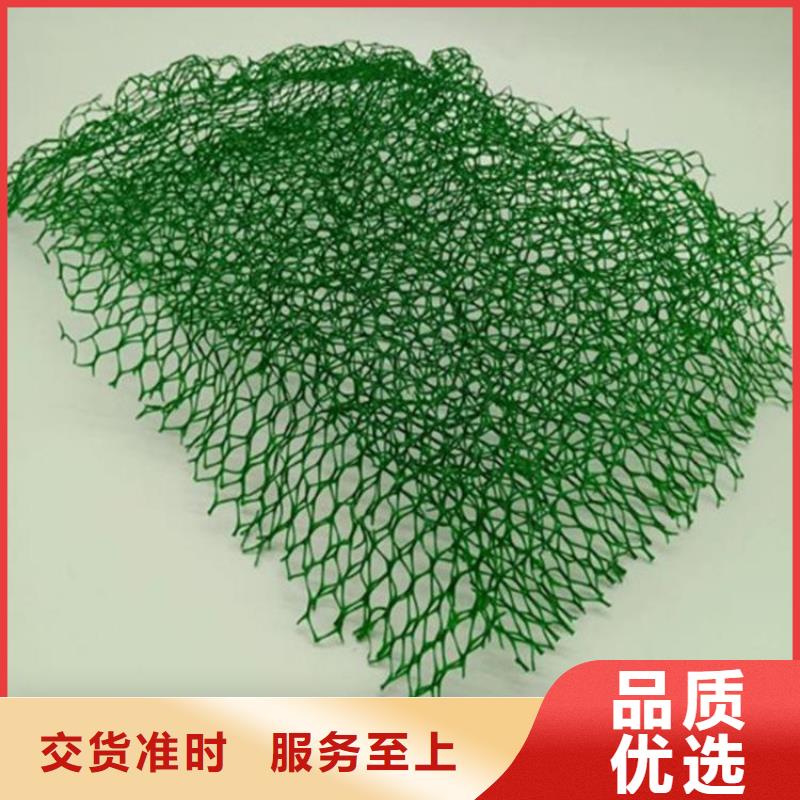 三维植被网钢塑格栅质量优选
