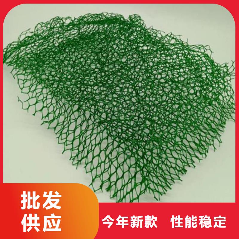 【三维植被网】-矿用格栅采购
