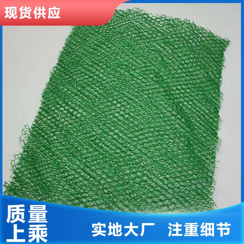 三维植被网土工格室一站式供应厂家