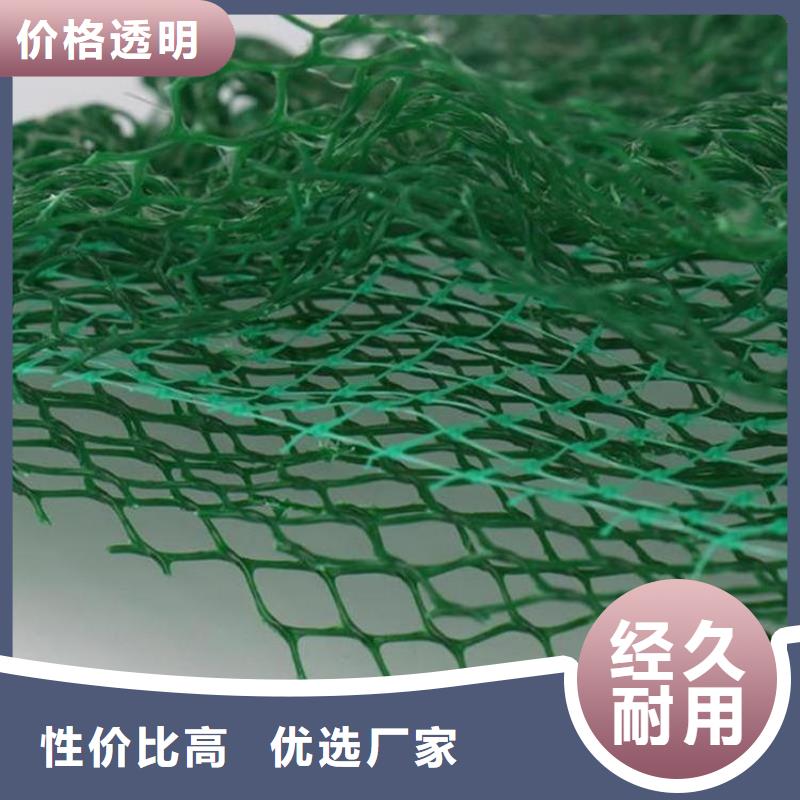 三维植被网玻纤土工格栅批发价格