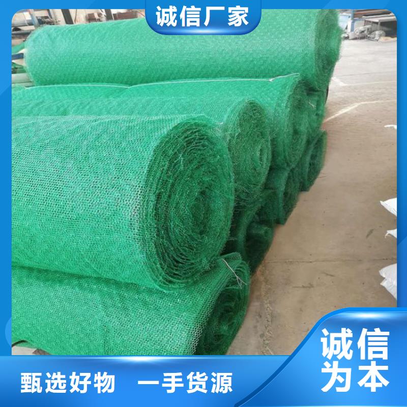 三维植被网生态带专注品质