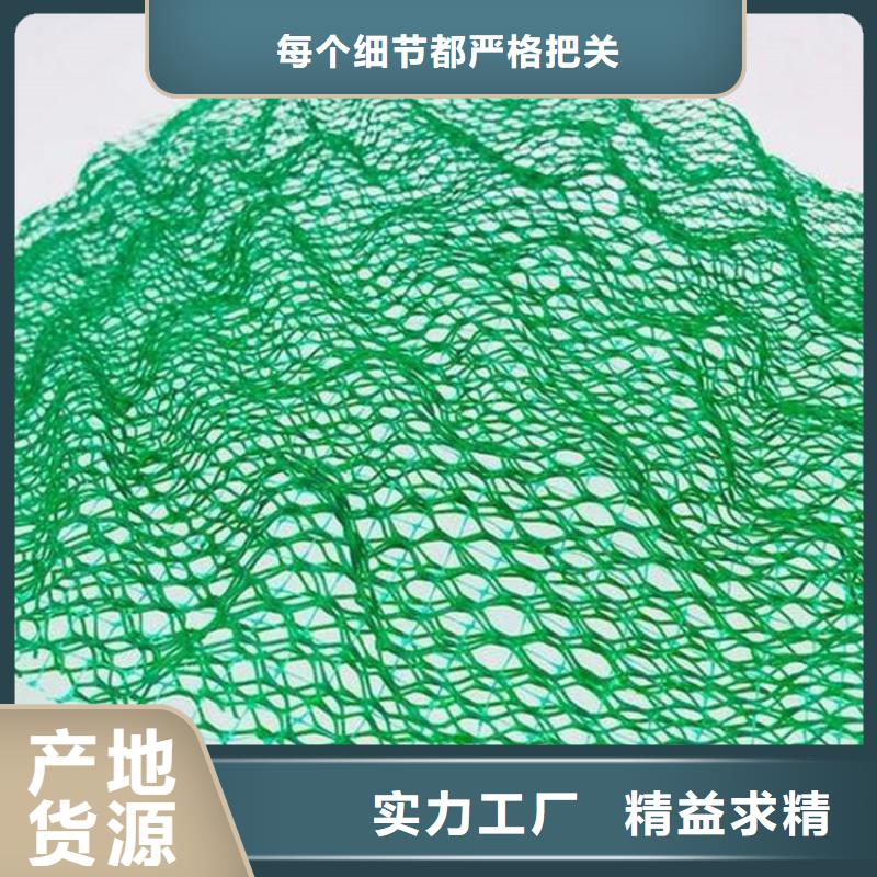 【三维植被网涤纶格栅卓越品质正品保障】