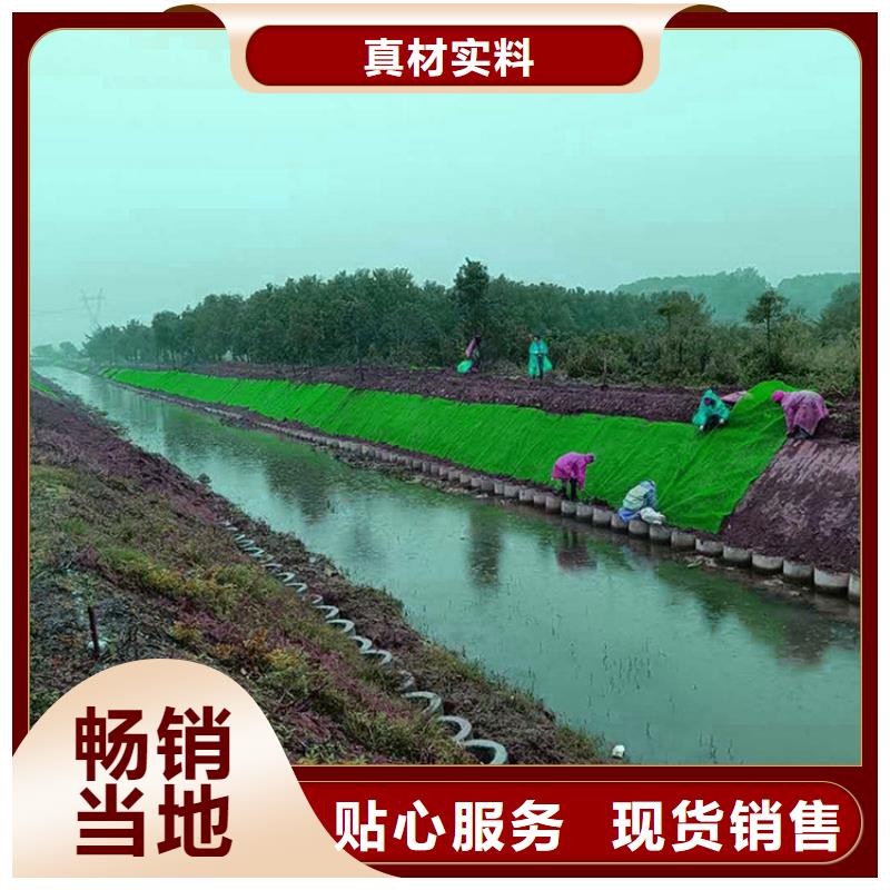 三维植被网【土工布】货真价实