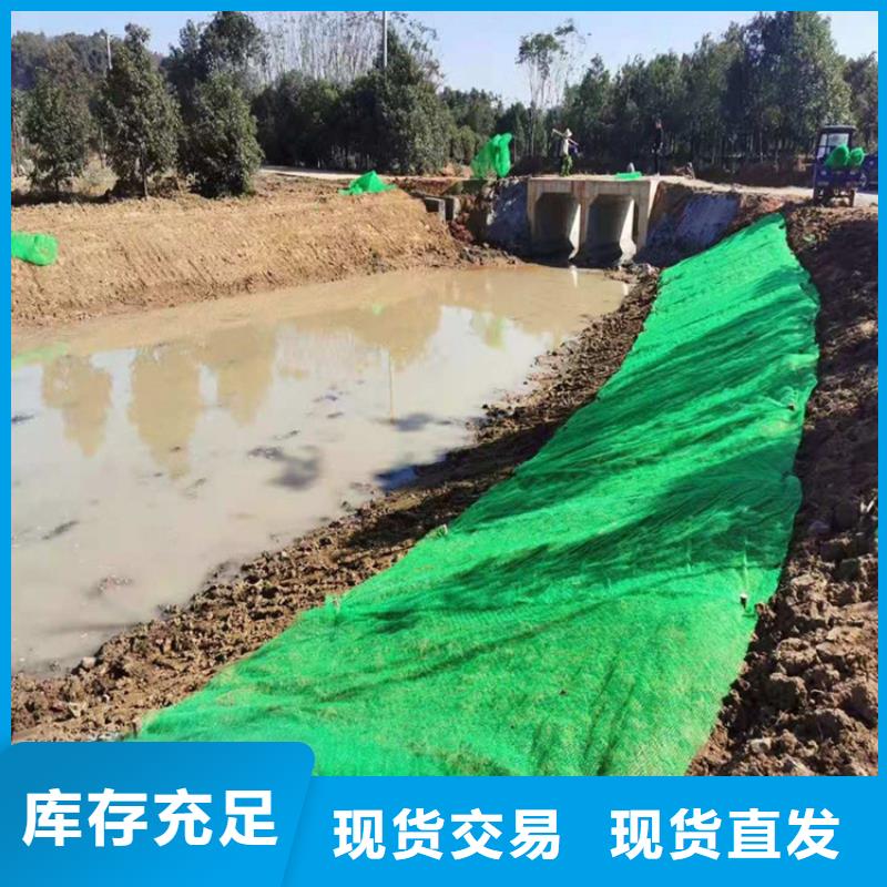 三维植被网土工格室一站式供应厂家