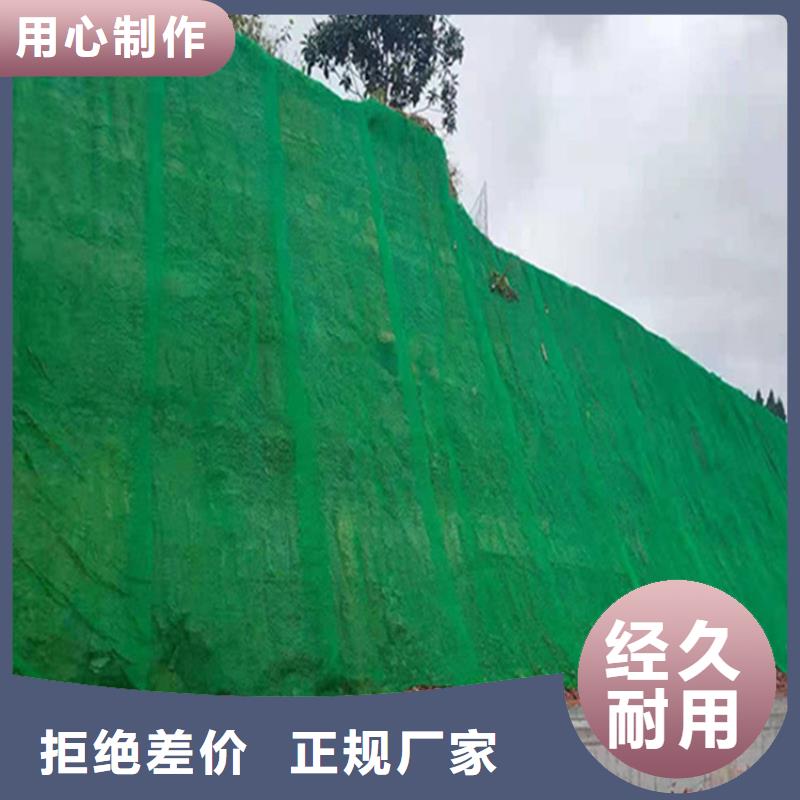 三维植被网土工膜贴心服务