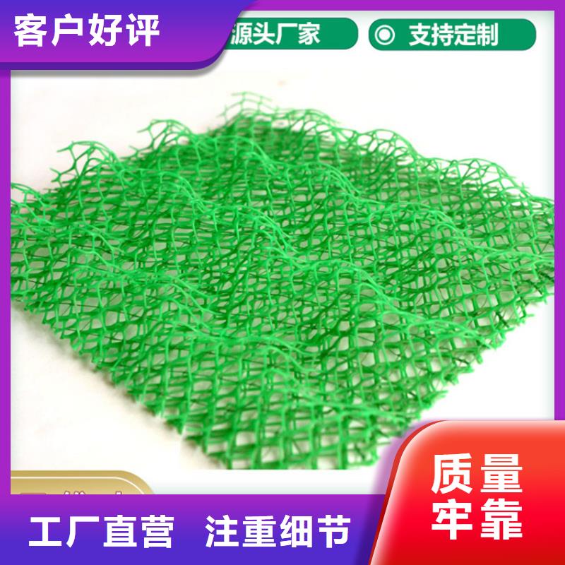 三维植被网双向塑料土工格栅源头厂家经验丰富