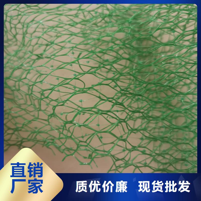 三维植被网软式透水管厂家现货批发