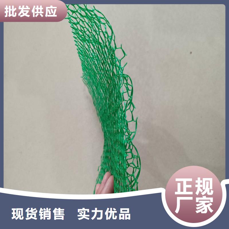 三维植被网土工膜贴心服务