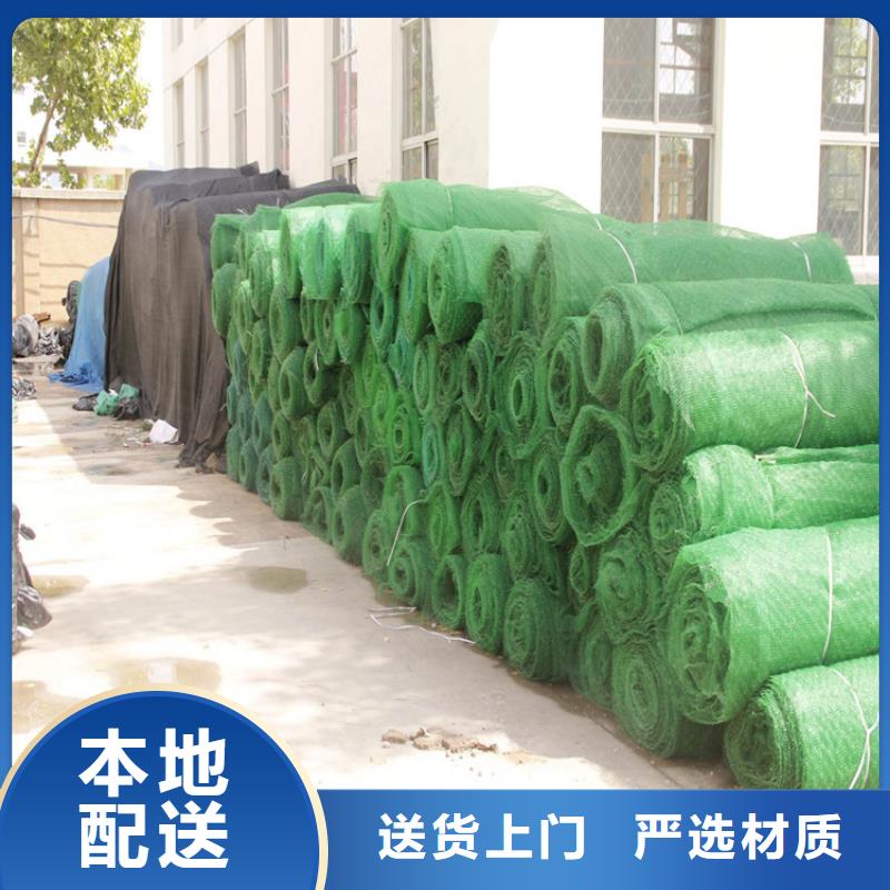 三维植被网【土工布】颜色尺寸款式定制