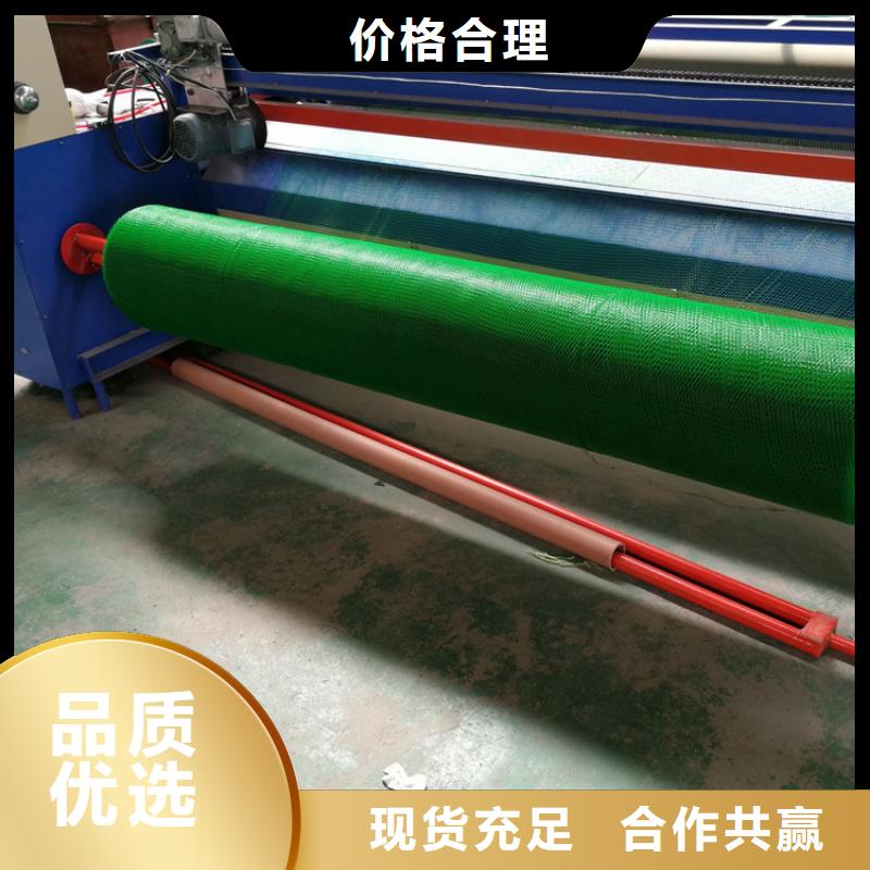 三维植被网【土工膜】品质保障价格合理