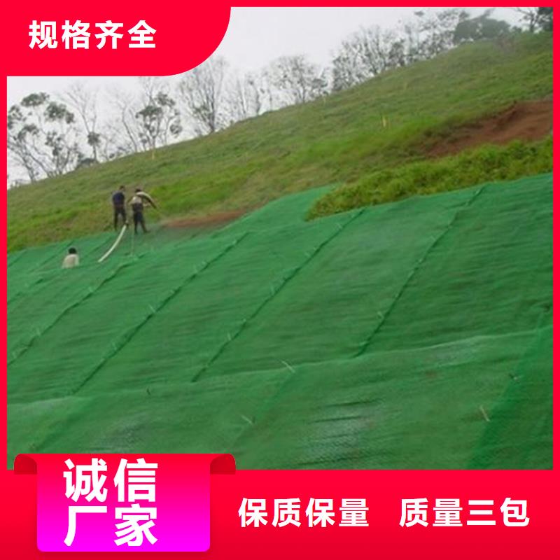 三维植被网,土工膜实体诚信经营