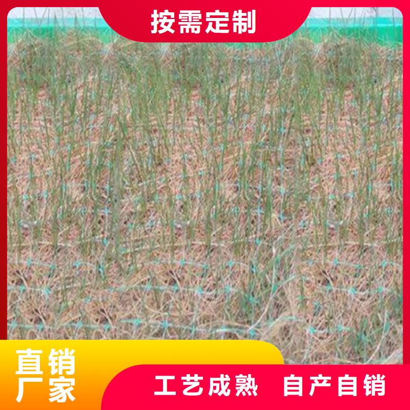 【椰丝毯】玻纤格栅产地货源