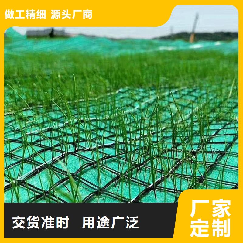 椰丝毯-塑料土工格栅应用范围广泛