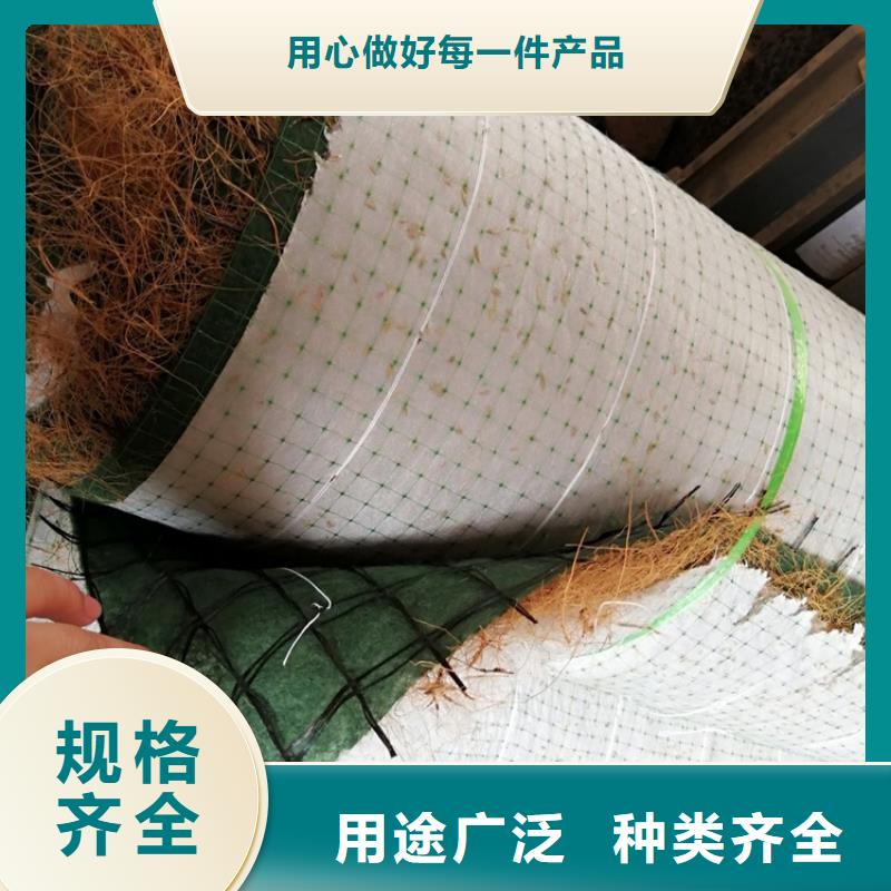 椰丝毯土工布实力见证