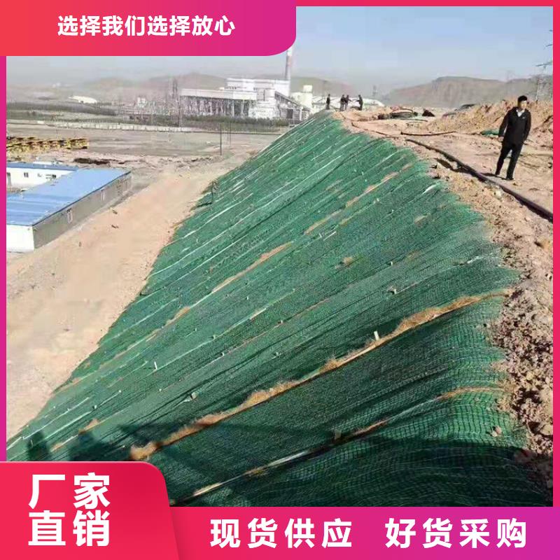 椰丝毯,蓄水板源头直供