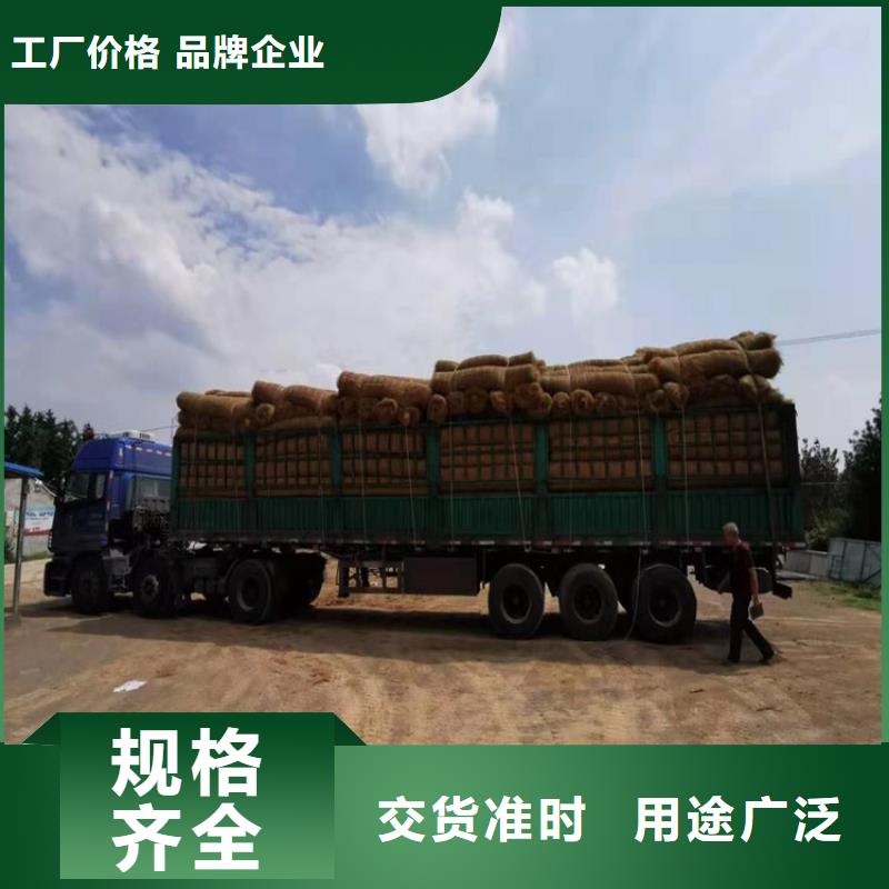 椰丝毯土工布实力见证