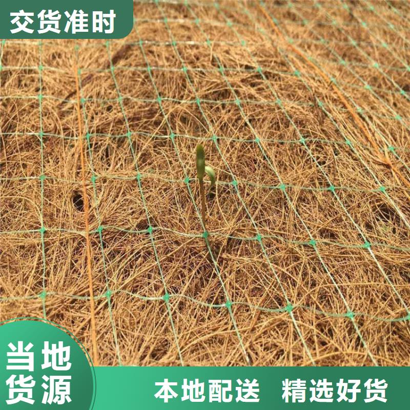 椰丝毯土工布实力见证