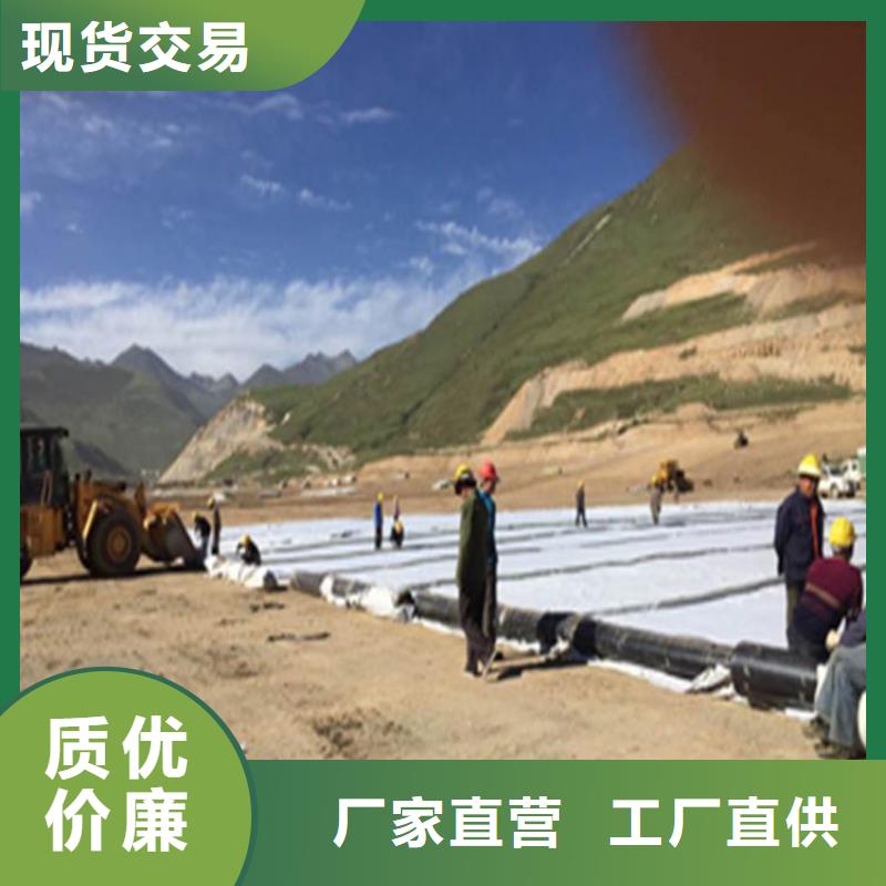 双向塑料土工格栅-视频-内蒙古赤峰市|乌兰察布|呼和浩特|鄂尔多斯|阿拉善|锡林郭勒双向塑料土工格栅-中齐