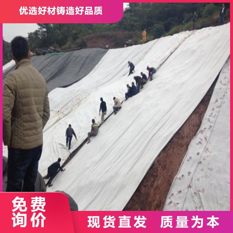 膨润土防水毯-土工格室买的是放心