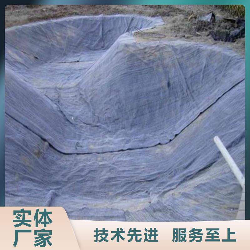 膨润土防水毯【聚酯布】N年专注