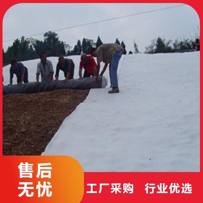 膨润土防水毯【玻纤土工格栅】严格把关质量放心