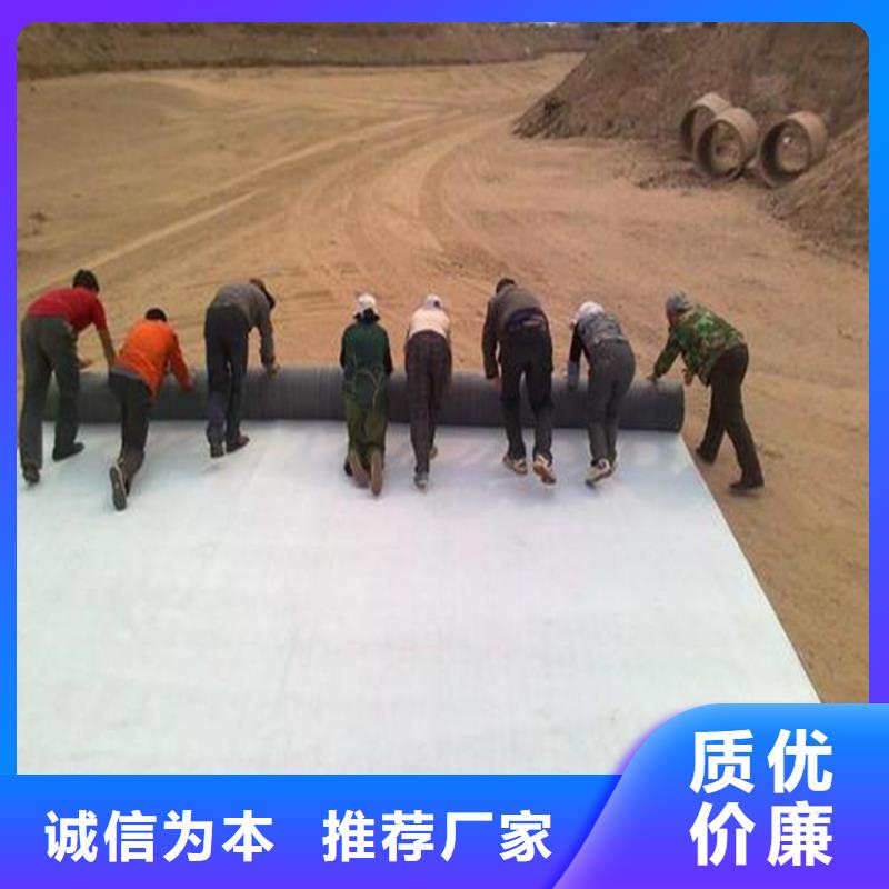 双向塑料土工格栅-视频-内蒙古赤峰市|乌兰察布|呼和浩特|鄂尔多斯|阿拉善|锡林郭勒双向塑料土工格栅-中齐