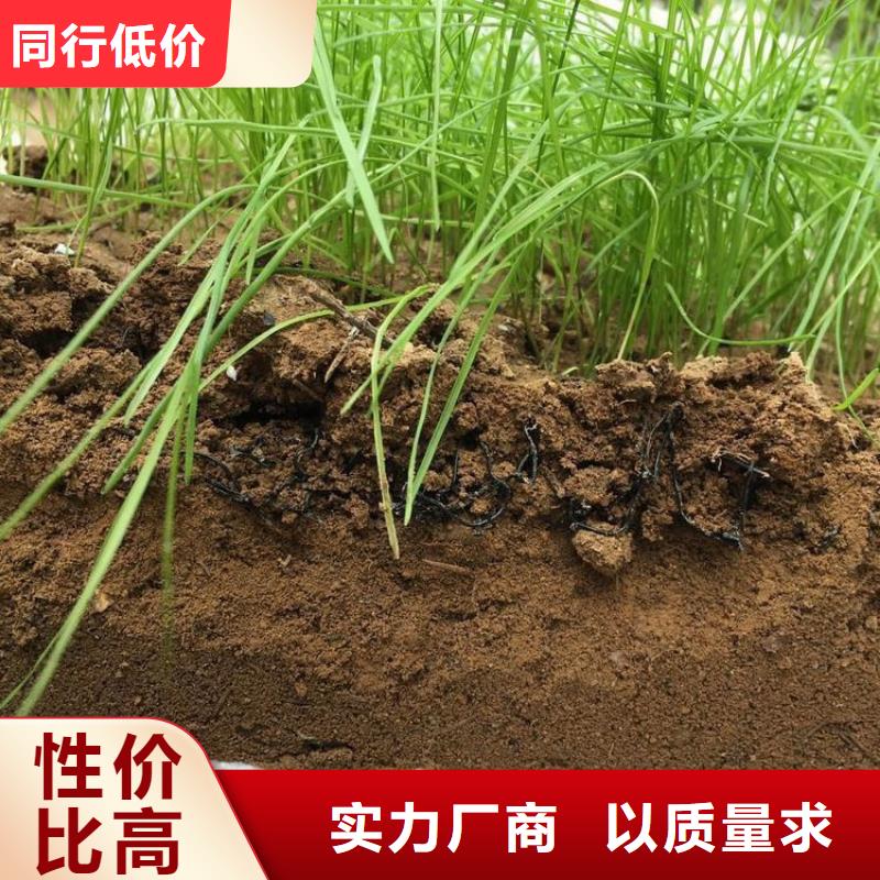 水土保护毯塑料土工格栅种类齐全