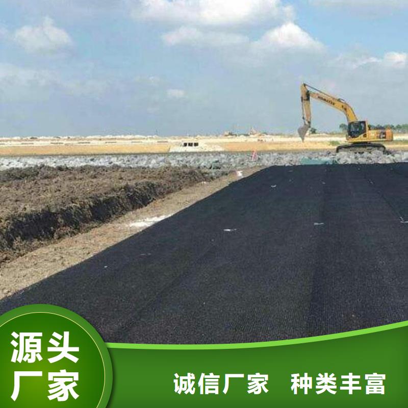 水土保护毯_【土工格室】专注产品质量与服务